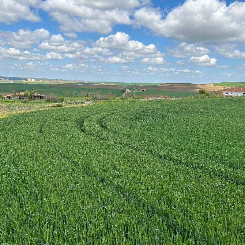 Yuşa'dan Süleymanpaşa Gündüzlü'de 125m2 ARSA Vasfında Yatırımlık