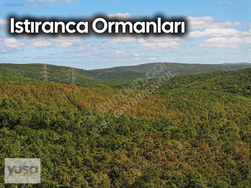 Çatalca Fatih 9 Dönüm Ormana Bitişik Yola 170 m Cepheli Tarla
