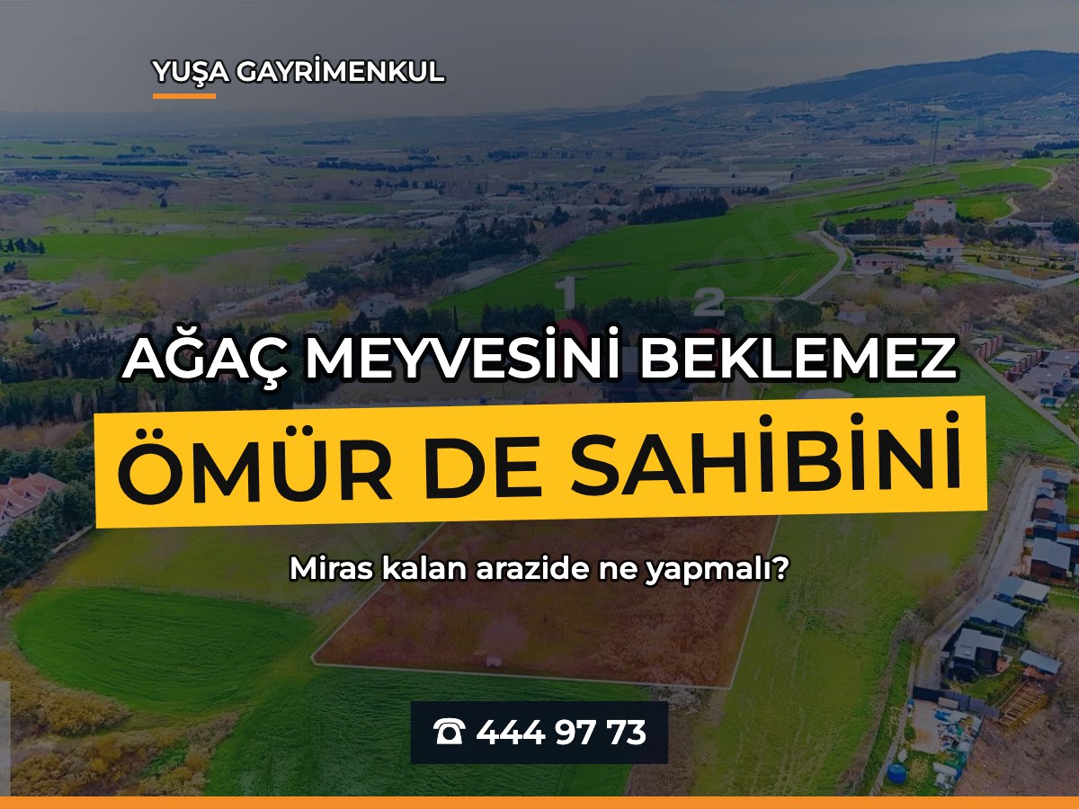 Miras Kalan Arazi Ne Yapılır? Veraset, İntikal ve Satış Öncesi Hazırlık
