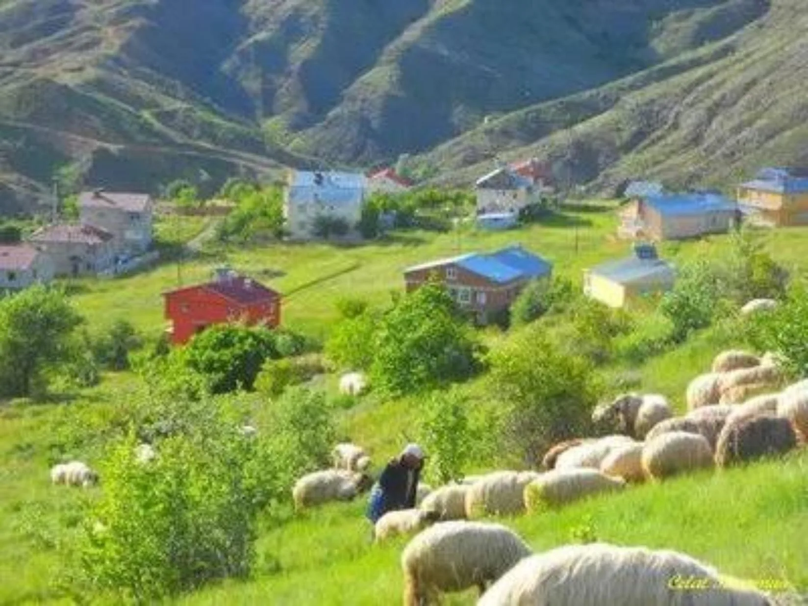 Peşinatsız 6 Taksit ile Toprağa Yatırım Fırsatı!