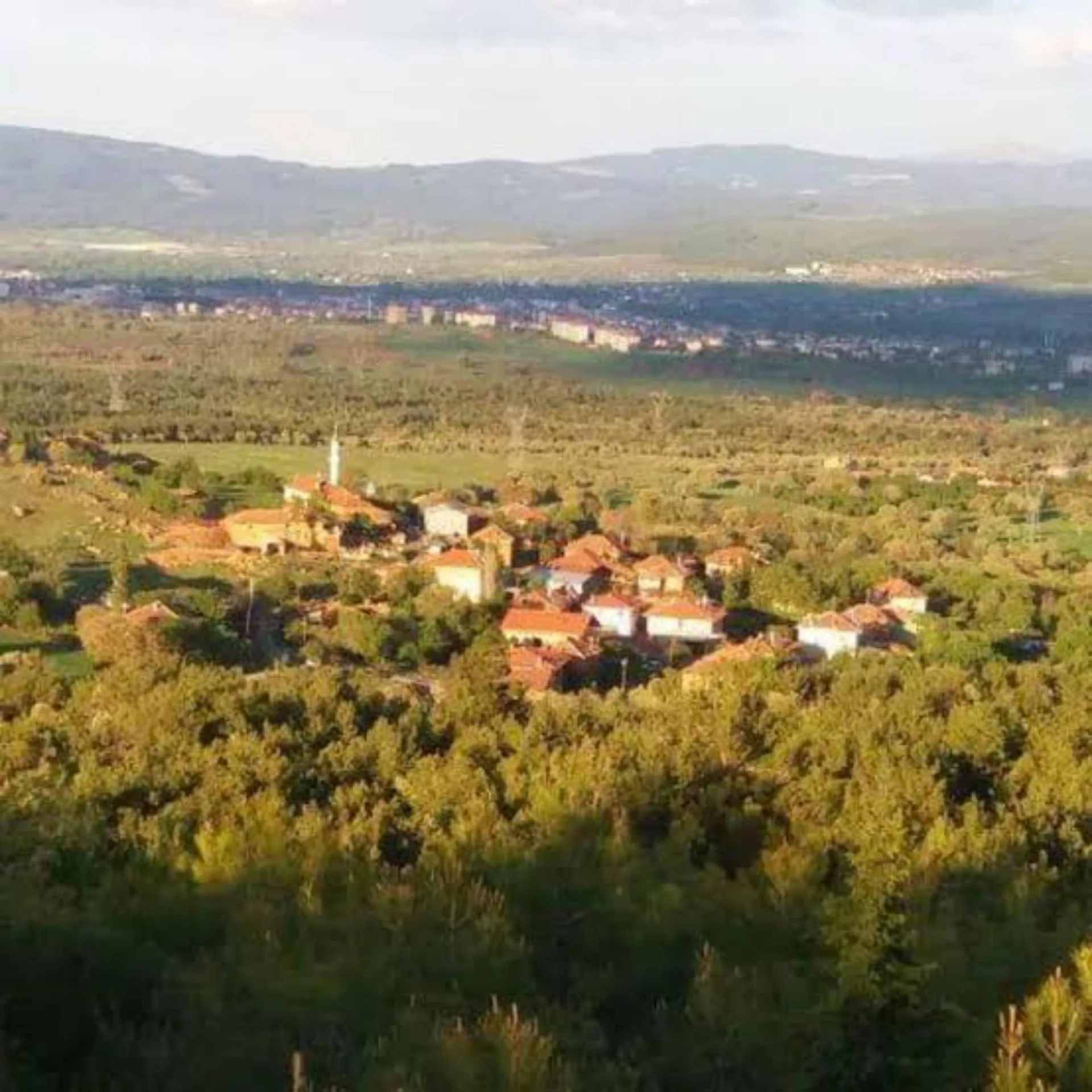 Yuşa'dan Sanayinin Hemen Üstünde, İlçe Merkezini Gören 1483m²