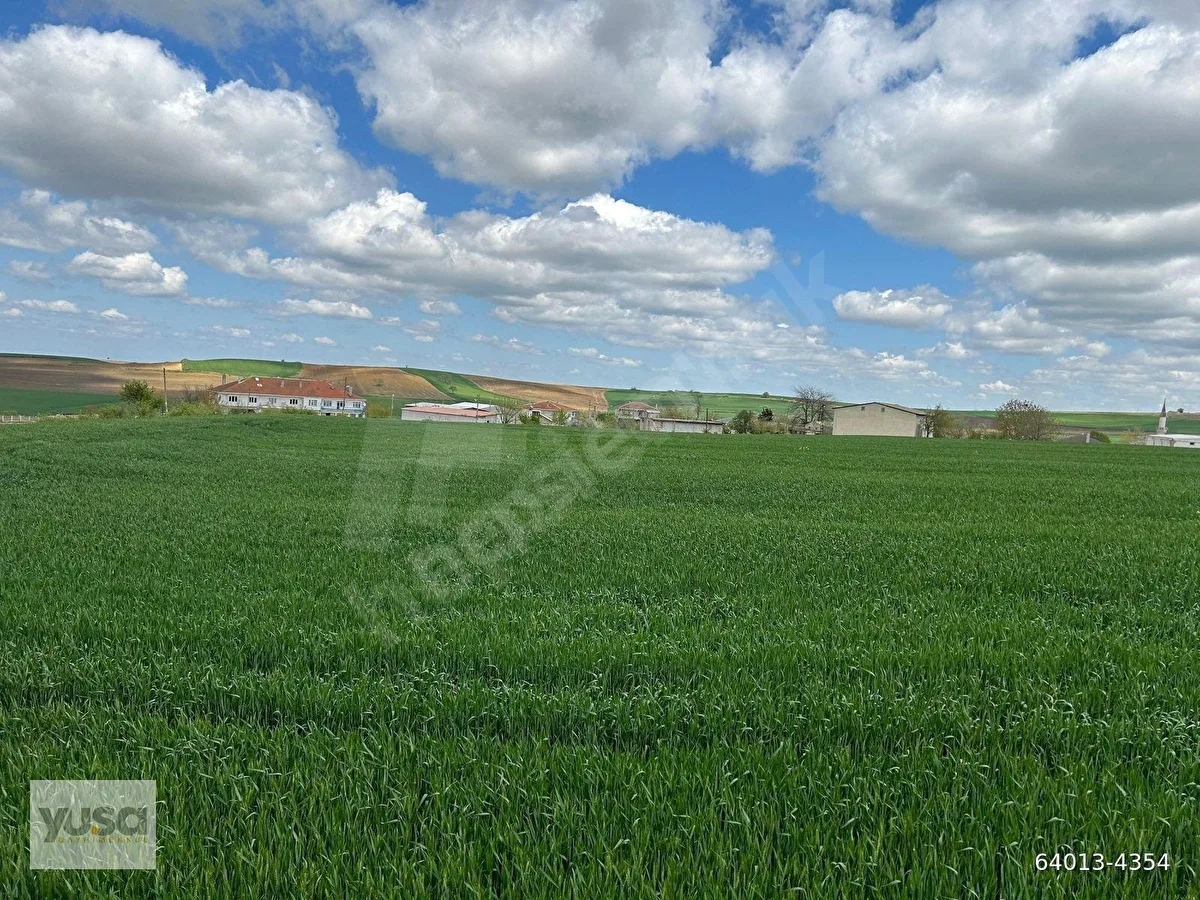 Tekirdağ Süleymanpaşa Gündüzlü Mahallesinde İmarlı Arsa