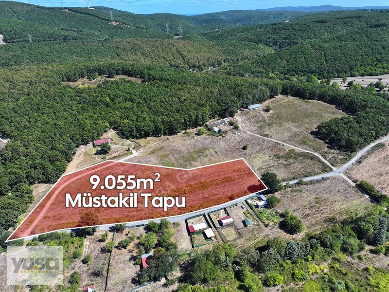 Çatalca Fatih 9 Dönüm Ormana Bitişik Yola 170 m Cepheli Tarla