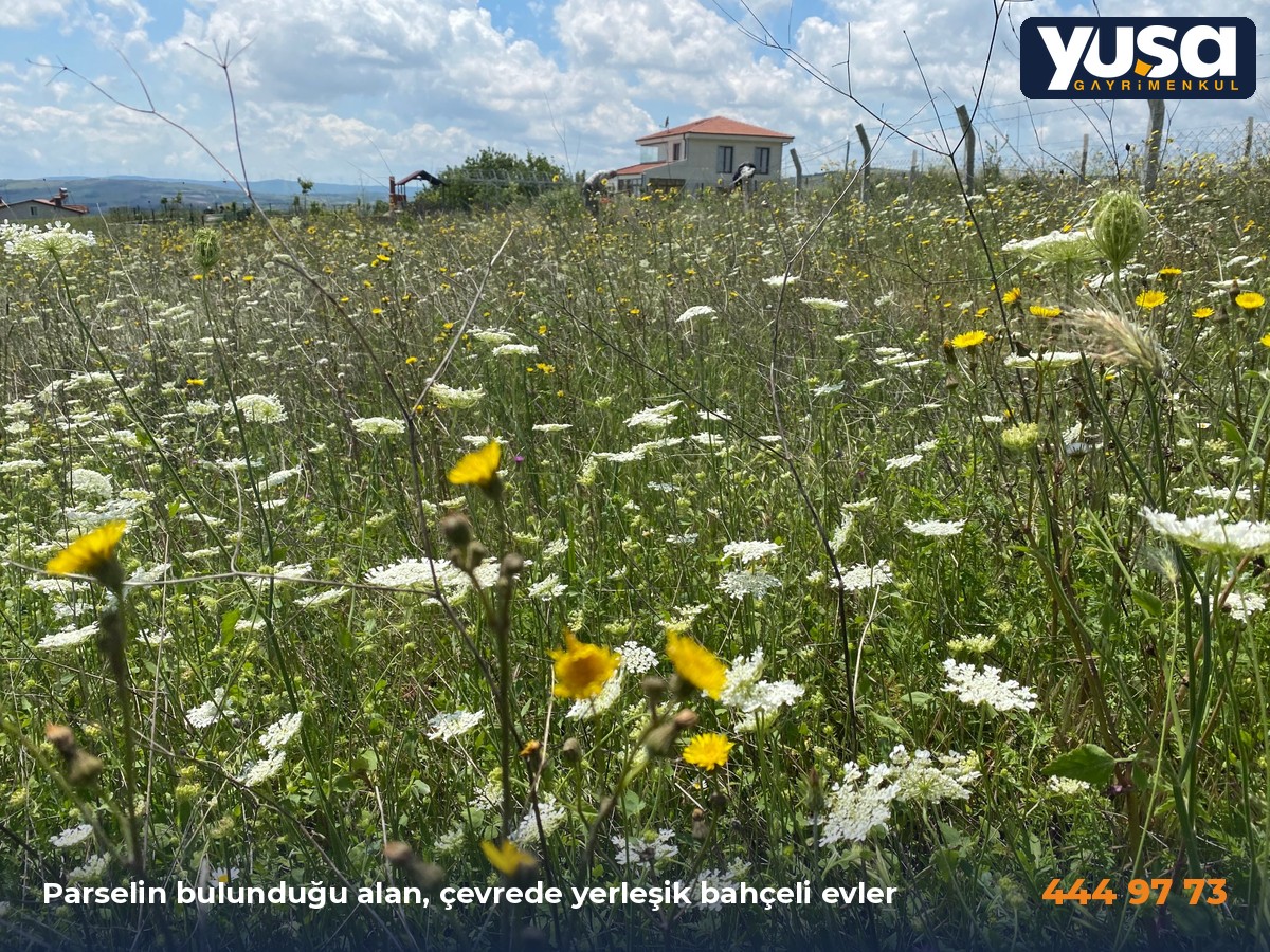 Çatalca Kestanelik 253 Ada 11 Parsel 263 m² Çaplı Tarla