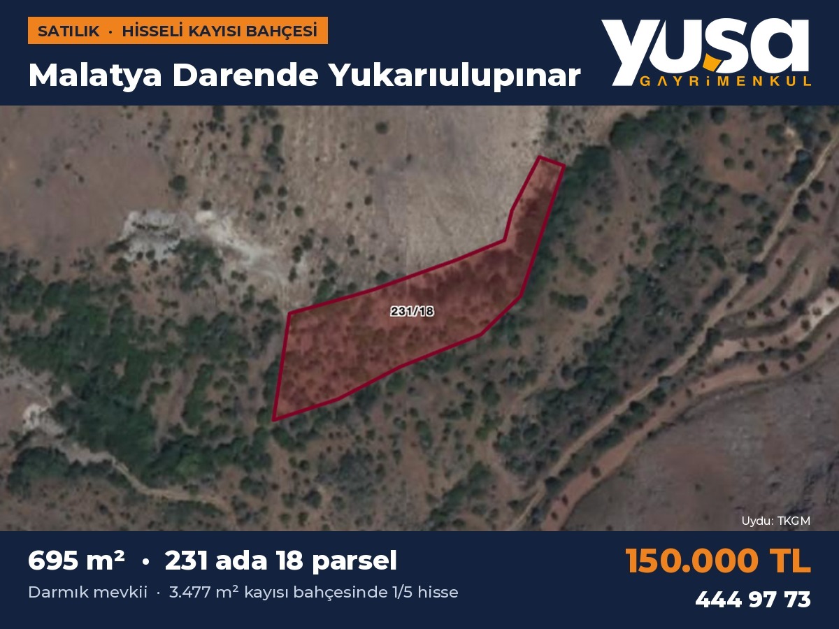 Malatya Darende Yukarıulupınar'da 695 m² Hisseli Kayısı Bahçesi