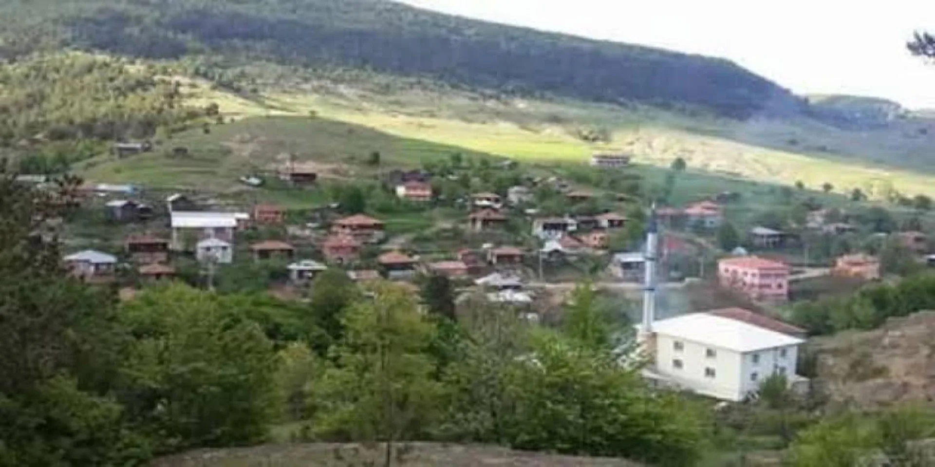 Resmi Yollu 3197m² Müstakil Tapu! Metrekaresi Bir Kahve Parasına