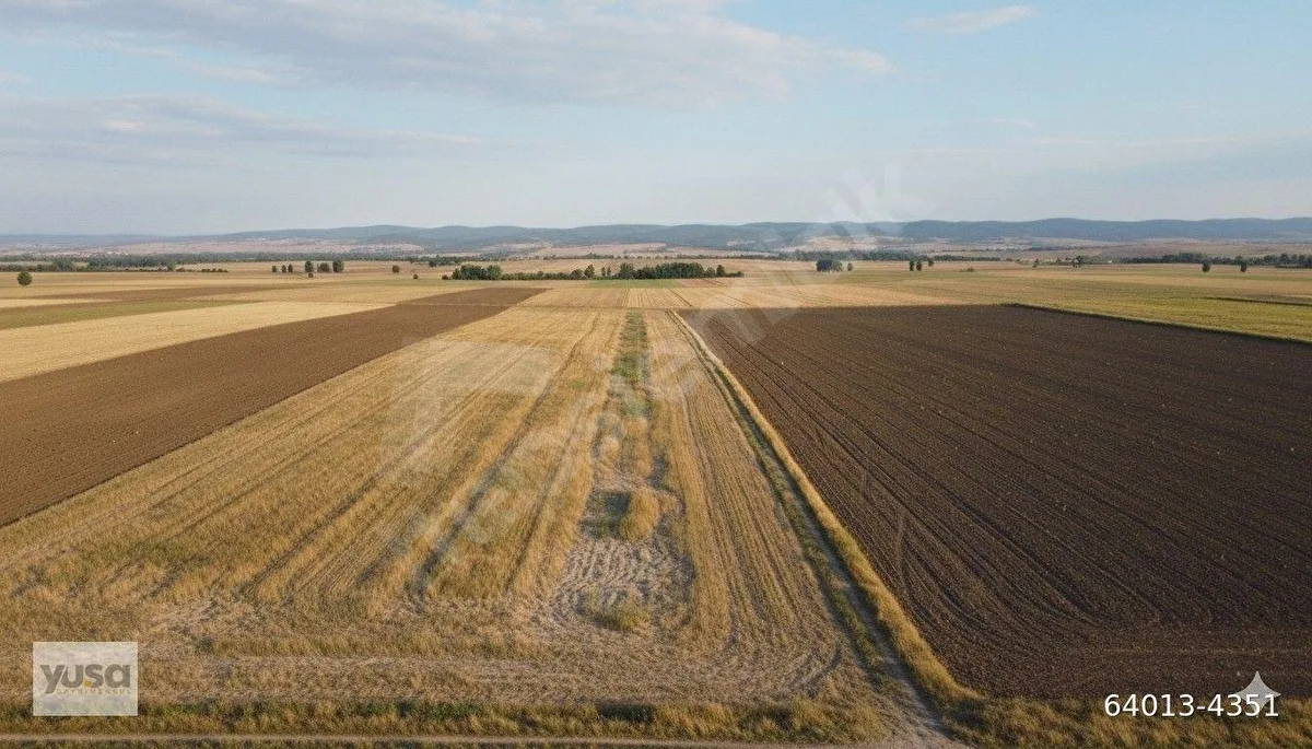 Malkara Kozyörük'de 440m2 Müstakil Tapulu Bağyeri