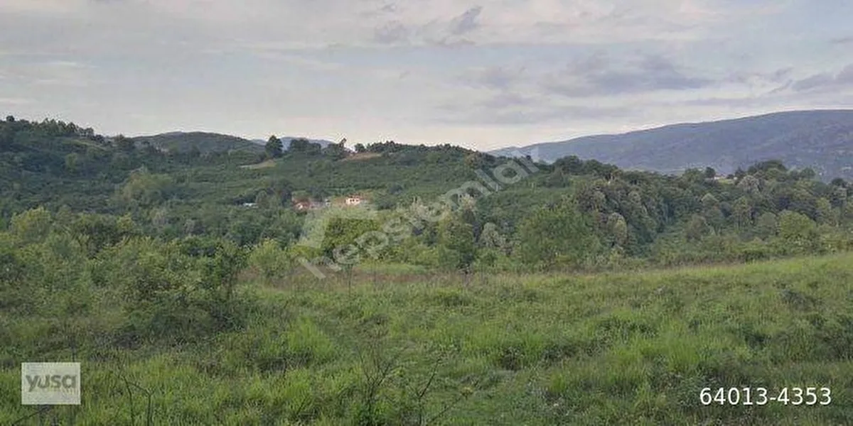 Sakarya Hendek Çukurhan'da Müstakil Tapulu 631m2 Tarla