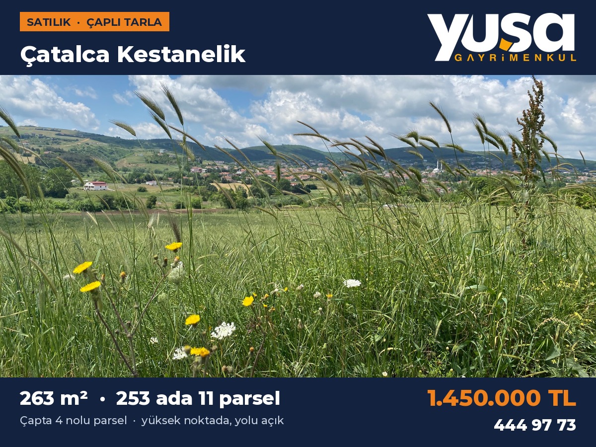 Çatalca Kestanelik 253 Ada 11 Parsel 263 m² Çaplı Tarla