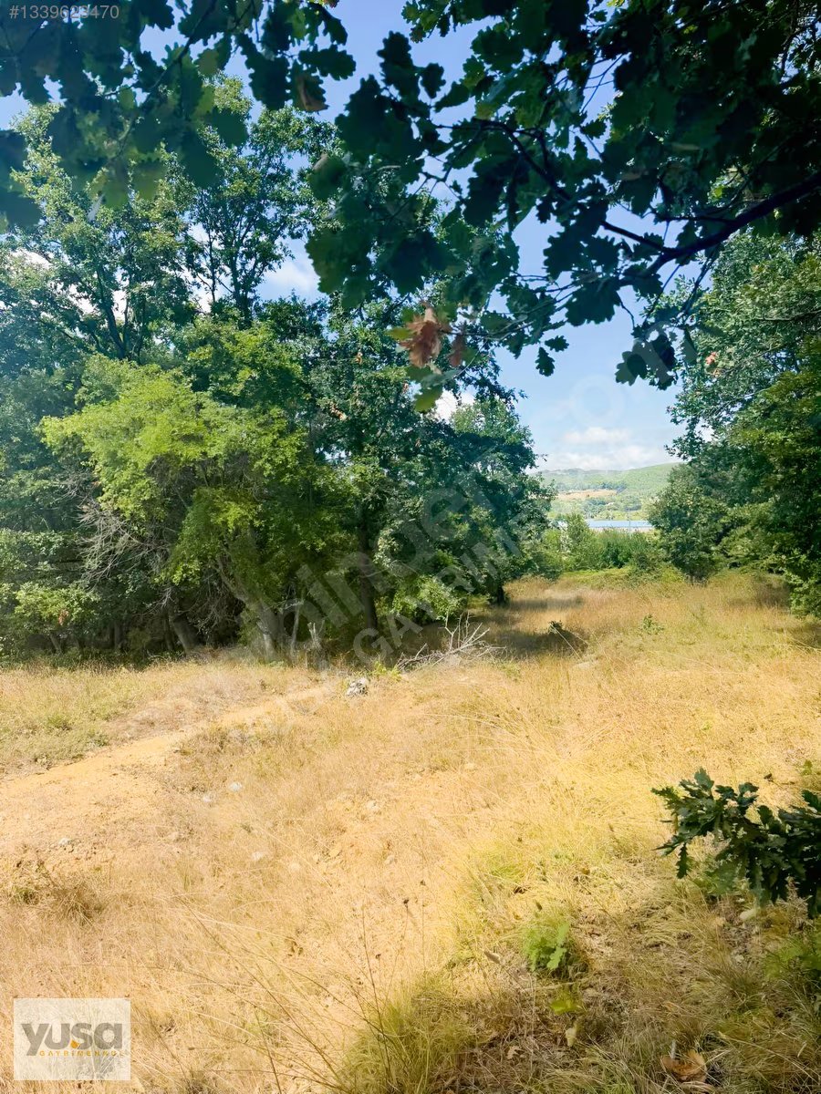 Çatalca Fatih 9 Dönüm Ormana Bitişik Yola 170 m Cepheli Tarla