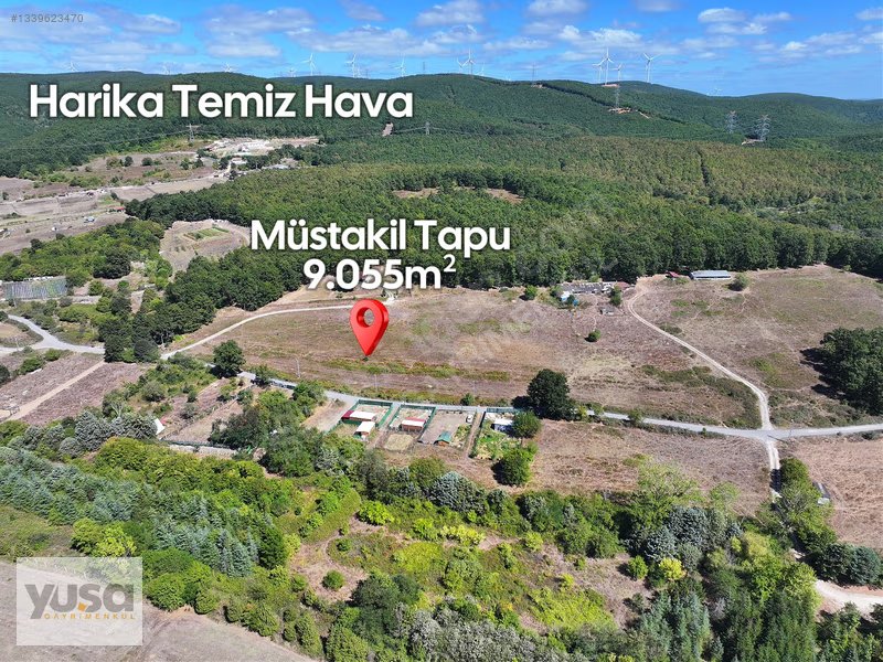 Çatalca Fatih 9 Dönüm Ormana Bitişik Yola 170 m Cepheli Tarla