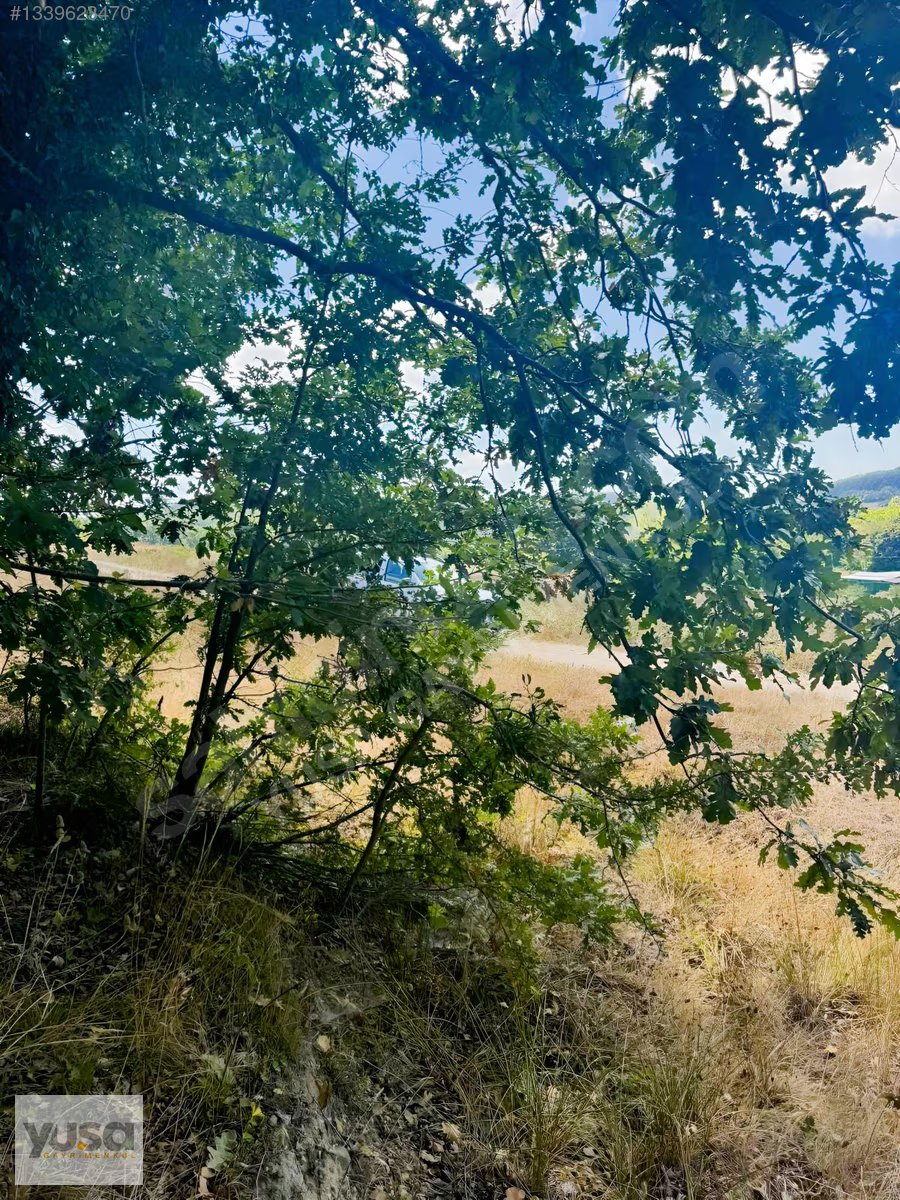 Çatalca Fatih 9 Dönüm Ormana Bitişik Yola 170 m Cepheli Tarla