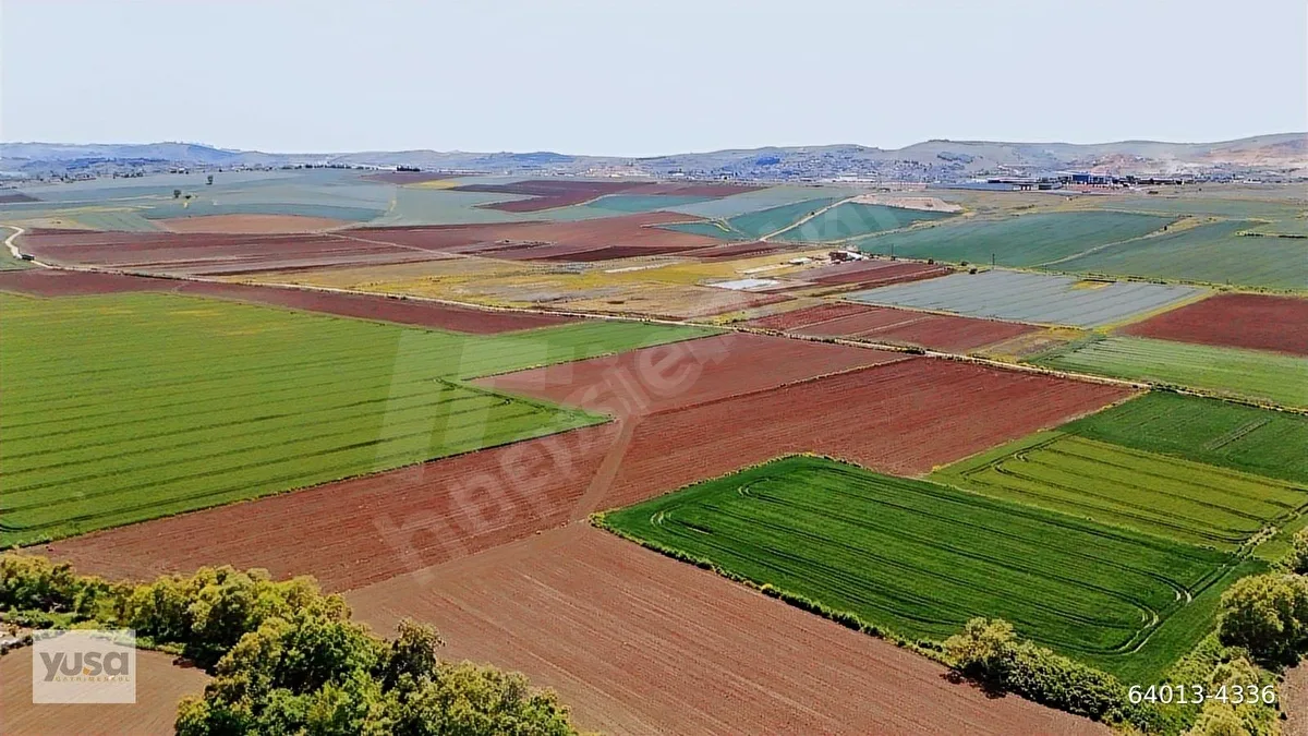 Çatalca Ferhatpaşa'da 260m2 İmarlı Arsa